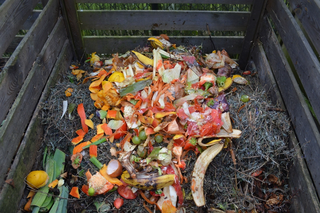 Cáscaras de plátano, de huevo y restos de verduras reunidos para hacer abono
